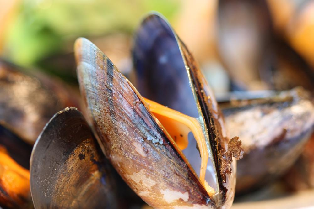 Oyster Inn Connel Oban Zewnętrze zdjęcie